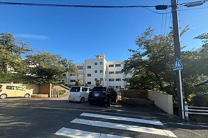渡内小学校 約400～410ｍ(徒歩5～6分)