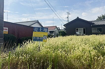 Photo/現地写真（2026年7月撮影）