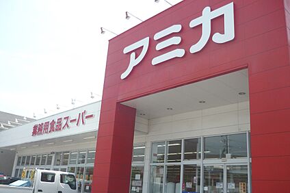 アミカ（岡崎店） 約1300～1310ｍ(徒歩17分)