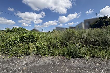 【現地写真】