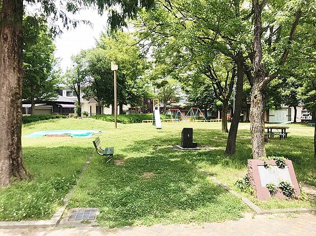 白鳥公園(約370m)