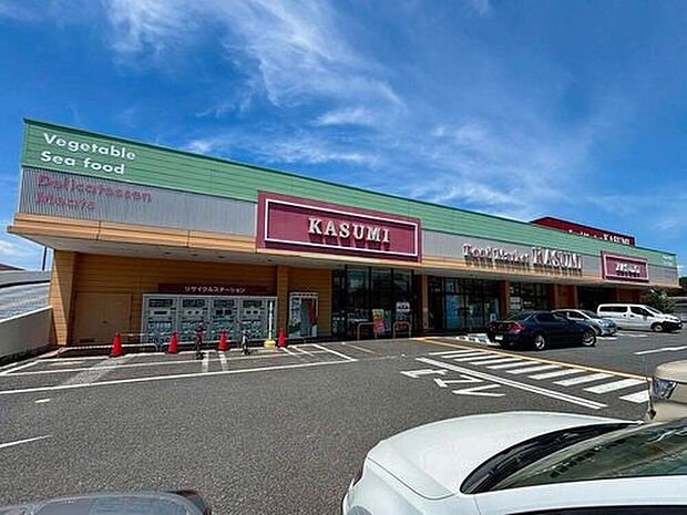 カスミ八千代大和田店(約800m)