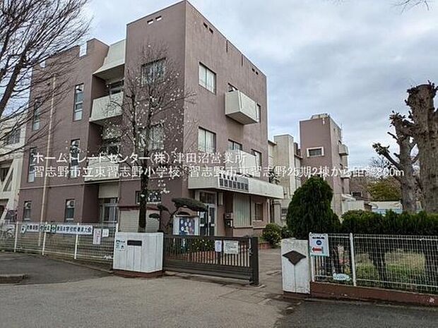 習志野市立東習志野小学校(約800m)