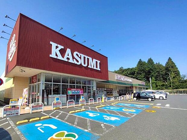 カスミフードスクエア東習志野店(約1,000m)