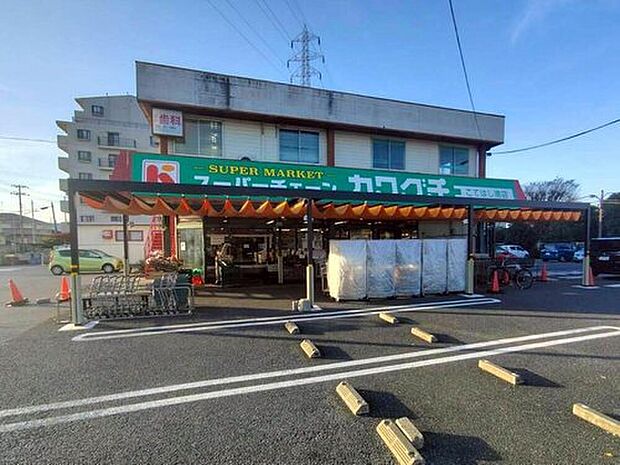 スーパーチェーンカワグチこてはし南店(約1,370m)