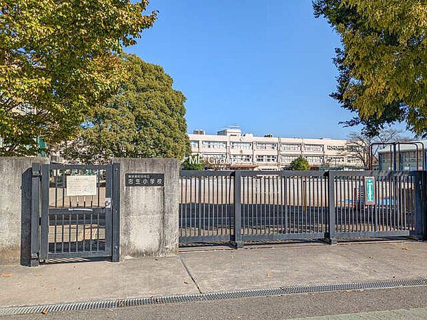 町田市立忠生小学校(約750m・徒歩10分)