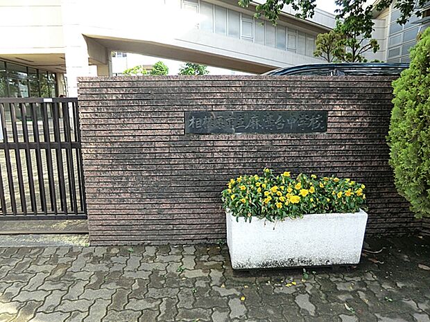 相模原市立麻溝台中学校（約1,400m・徒歩18分）