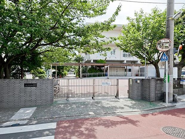 横浜市立白幡小学校（約400m・徒歩5分）