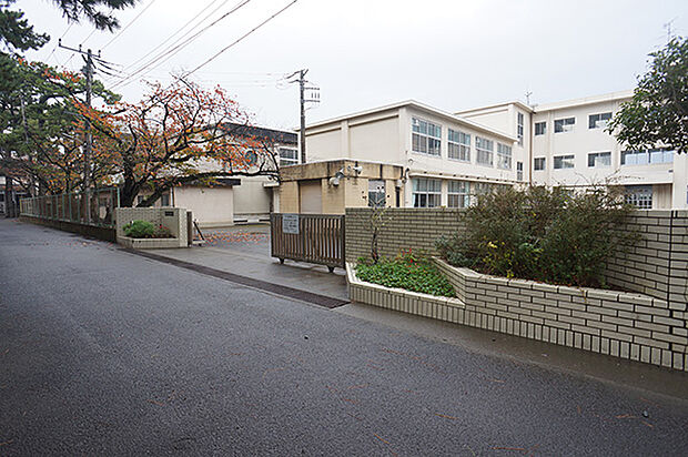 小田原市立白鴎中学校（約310m・徒歩4分）