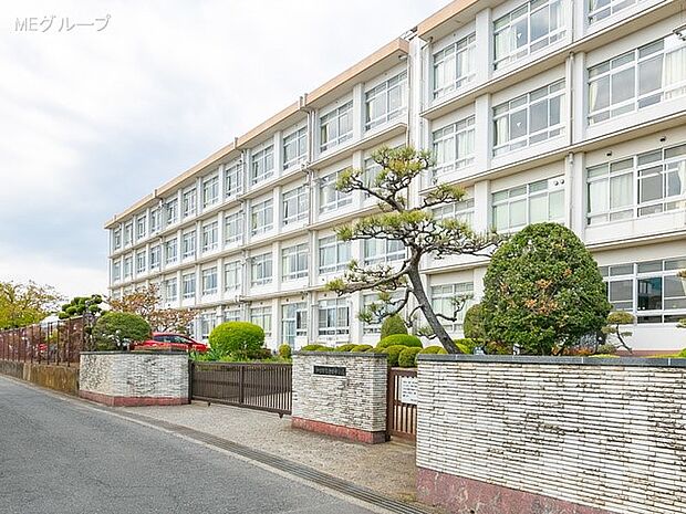 平塚市立金目中学校（約341m・徒歩5分）