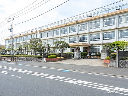 平塚市立浜岳中学校 840m(11分)