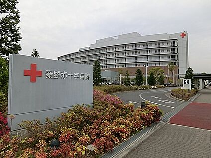 秦野赤十字病院 2405m(31分)