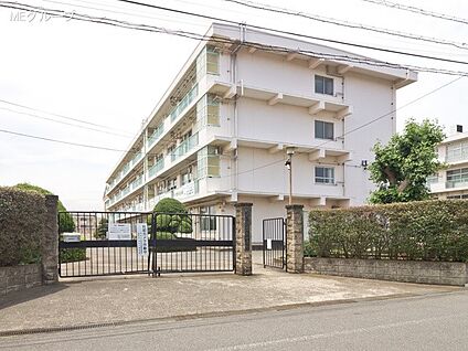 町田市立忠生中学校 1300m(17分)