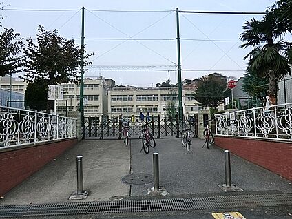 横浜市立峯小学校 900m(12分)