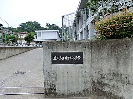 藤沢市立片瀬小学校 1000m(13分)