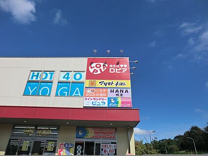 ロピア 八王子みなみ野店 3300m(42分)