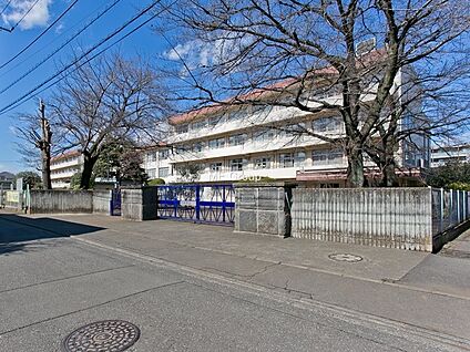 小金井市立小金井第四小学校 1000m(13分)