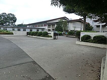 相模原市立東林中学校 800m(10分)