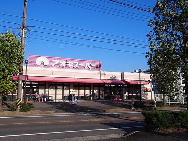 アオキスーパー刈谷店(約1,200m)