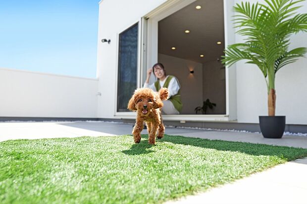 【屋上庭園※施工例】屋上庭園が、愛犬専用のプライベート運動場に。遠出しなくても、いつでも気軽にストレスなく遊ばせられます。
