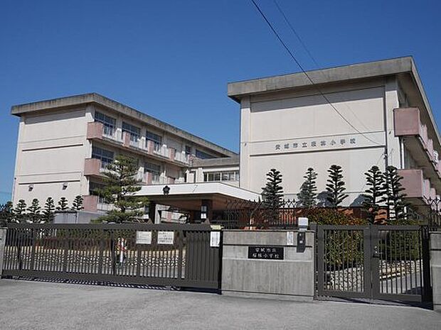 桜林小学校（約850m）