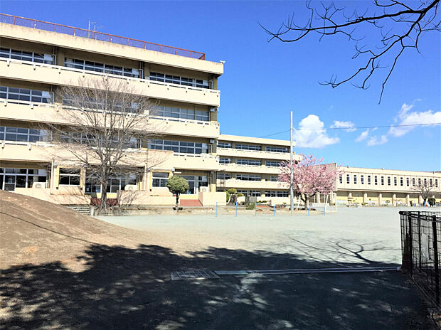 尾島小学校（約840m）