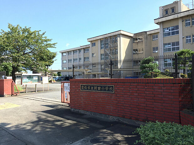 新田小学校(約620m)