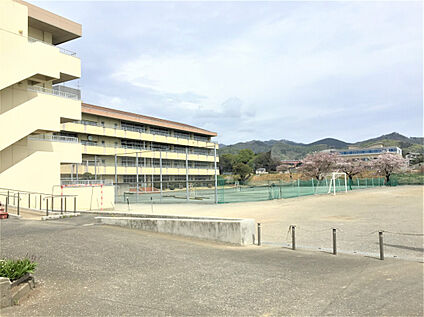 清流中学校 600m