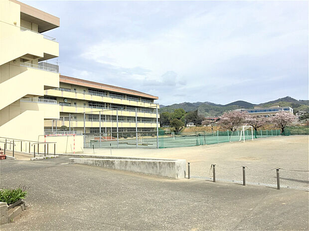 清流中学校(約600m)