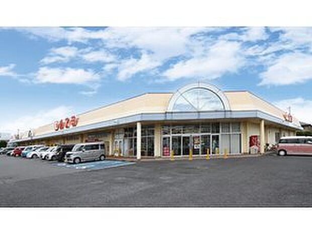 カスミ花崎店（約1,650m）