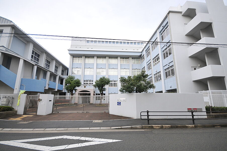 【学校】神戸市立駒ヶ林小学校