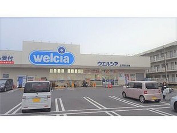 ウエルシア沼津西沢田店（約1,000m）