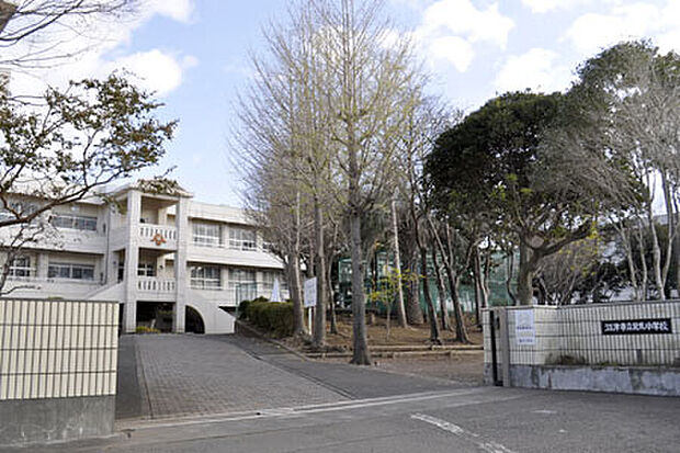 沼津市愛鷹小学校（約530m）