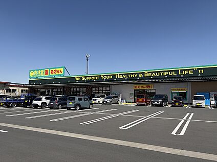 杏林堂ドラッグストア岩井店 1300ｍ(徒歩約17分)