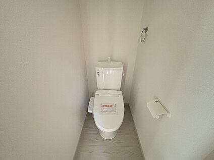 シャワートイレ