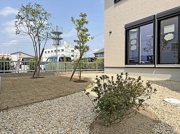 5号地 庭の植栽