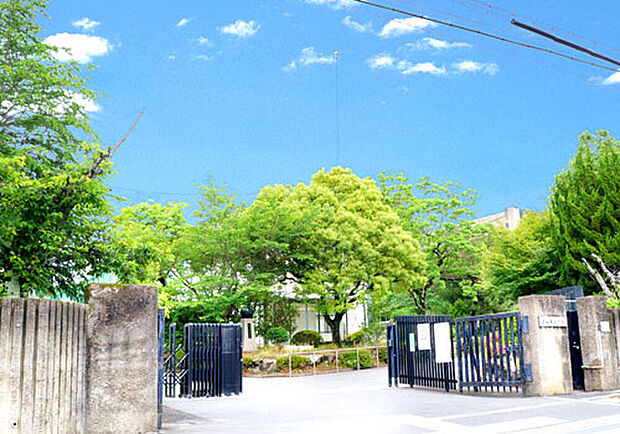 三山木小学校