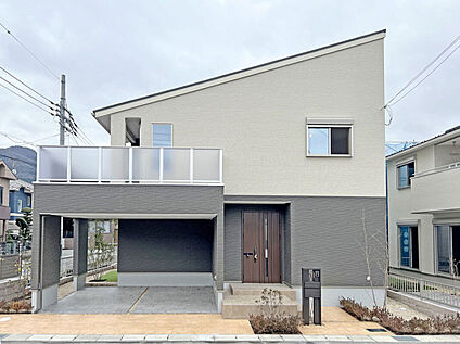 3号地