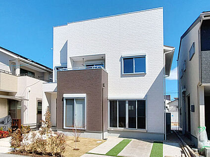 1号地