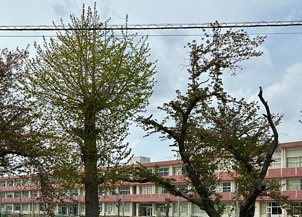 水戸市立水戸第4中学校(約2m)
