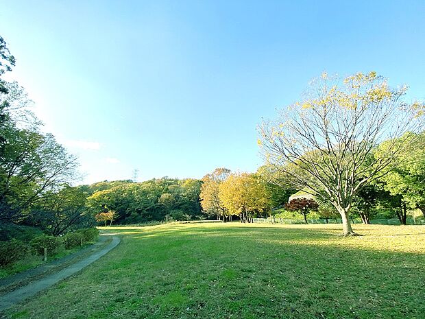北八朔公園（約800m）