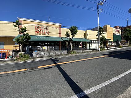相鉄ローゼン　梶ヶ谷店 1000m(13分)