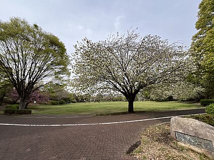 滝ヶ谷公園 1200m