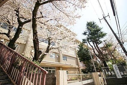 玉川小学校 500m