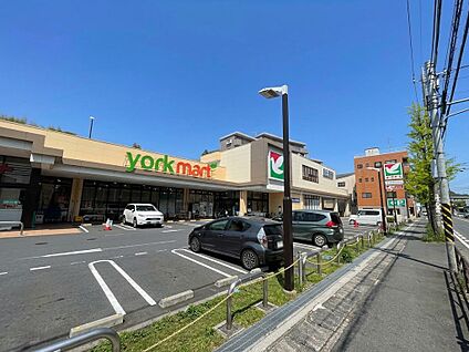ヨークマート川崎野川店 1300m