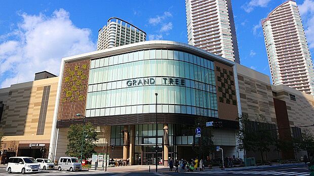 グランツリー武蔵小杉(約1,800m・徒歩23分)