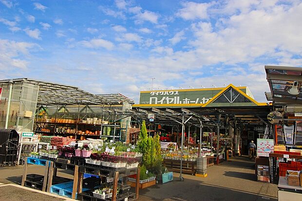 ロイヤルホームセンター梶ヶ谷店(約950m・徒歩12分)