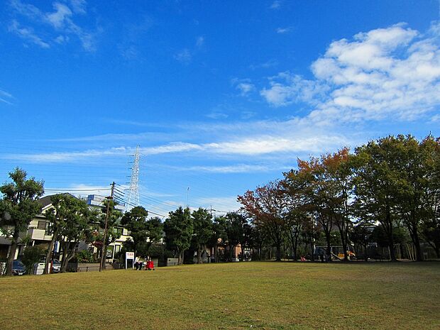 王禅寺公園（約300m）