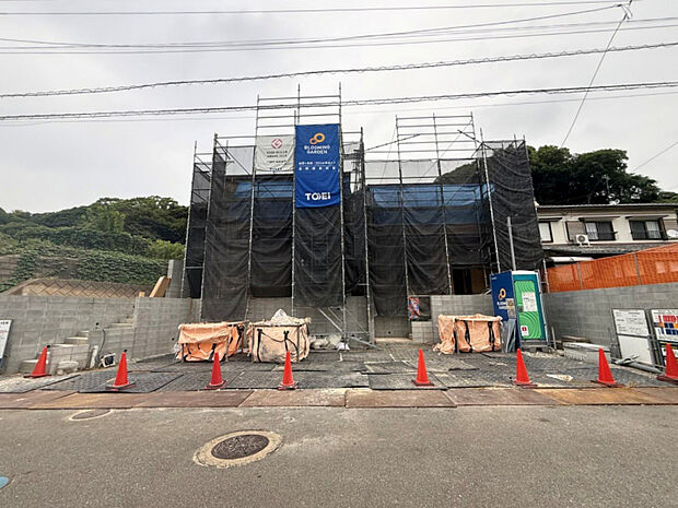 2026年9月　撮影　