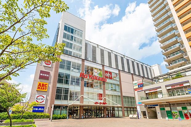 イトーヨーカドー武蔵小金井店（約560m）